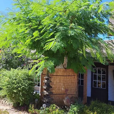 Le Quesnoy Appartamento